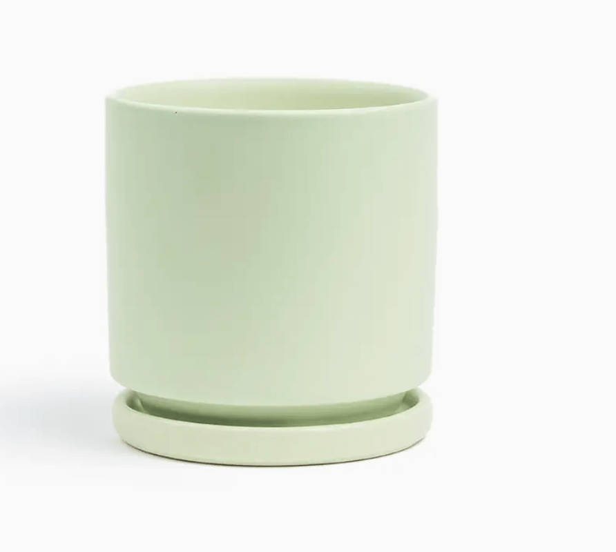 Momma Pots - 4.5" - The Plant Lady SF