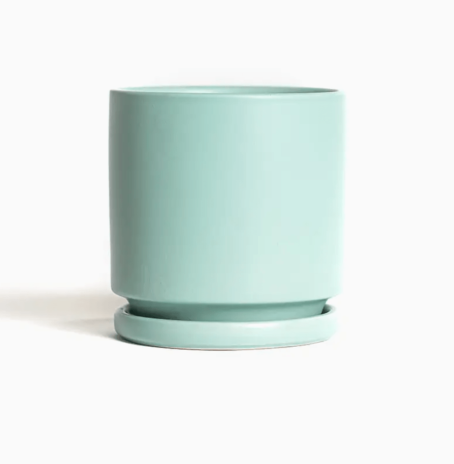 Momma Pots - 4.5" - The Plant Lady SF