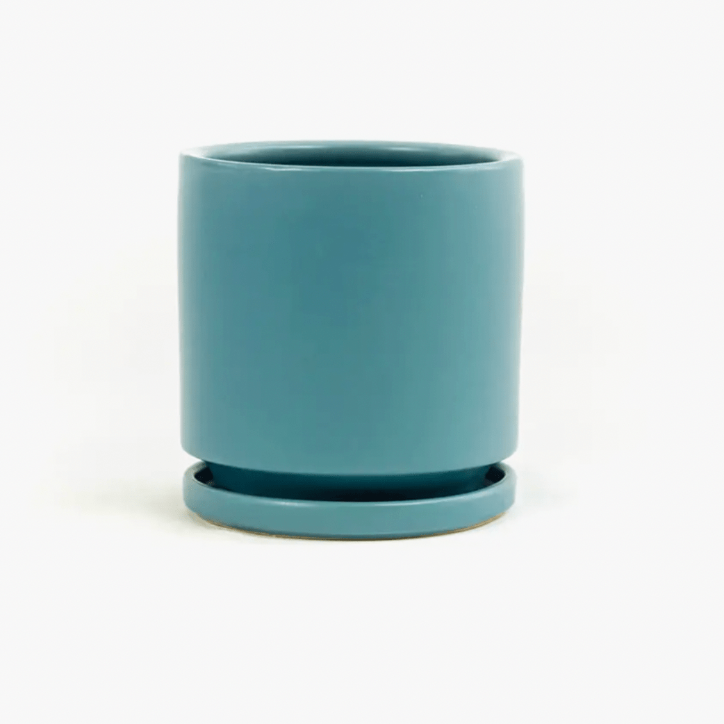 Momma Pots - 4.5" - The Plant Lady SF