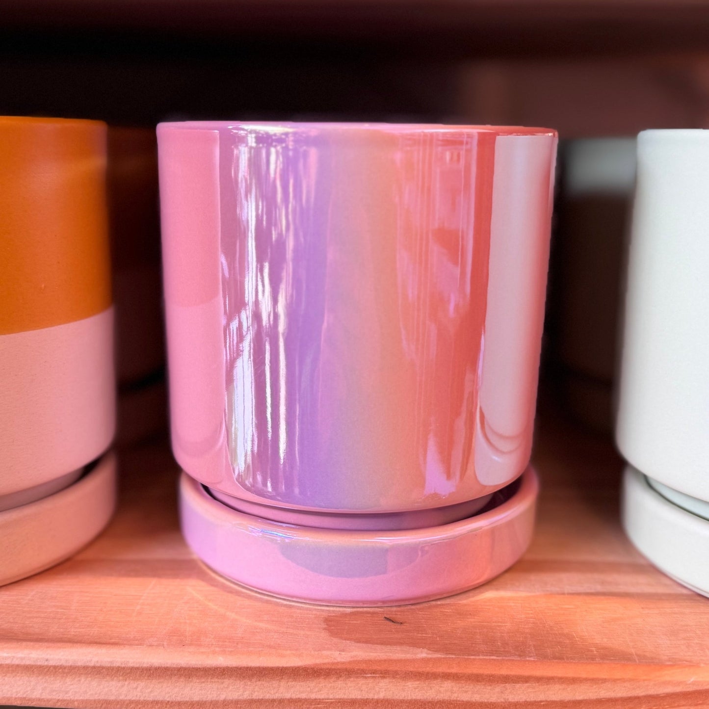 Momma Pots - 4.5" - The Plant Lady SF