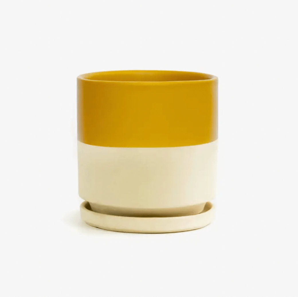 Momma Pots - 4.5" - The Plant Lady SF