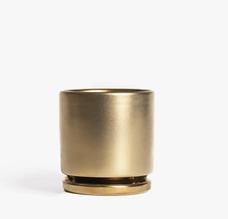 Momma Pots - 4.5" - The Plant Lady SF