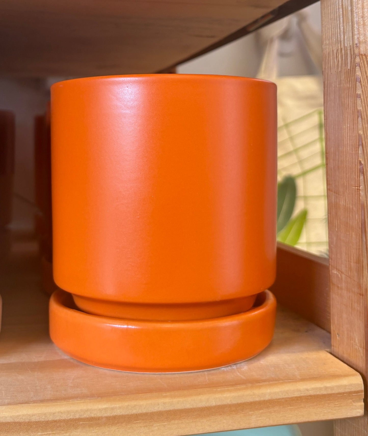 Momma Pots - 4.5" - The Plant Lady SF