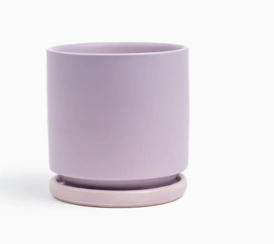 Momma Pots - 4.5" - The Plant Lady SF