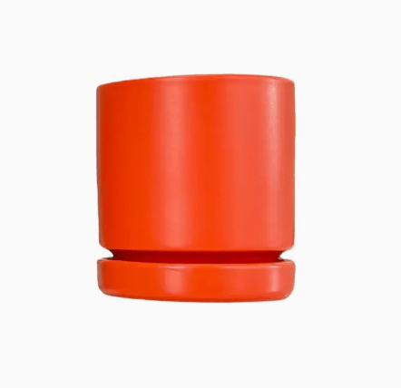 Momma Pots - 4.5" - The Plant Lady SF