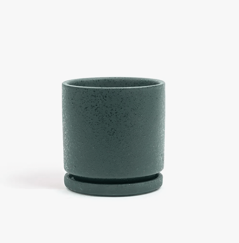 Momma Pots - 4.5" - The Plant Lady SF