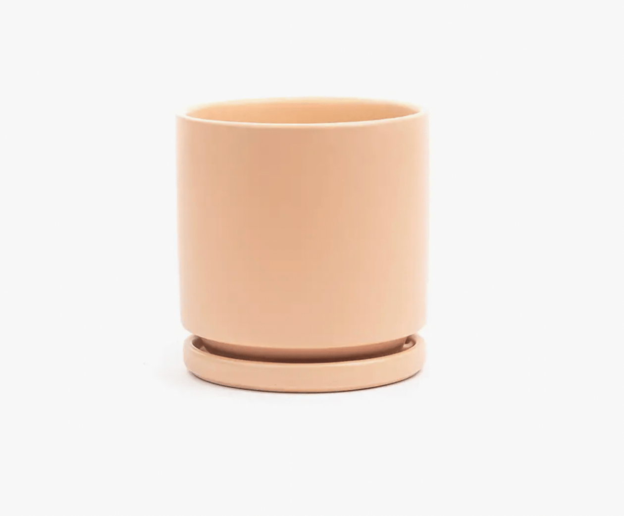 Momma Pots - 4.5" - The Plant Lady SF