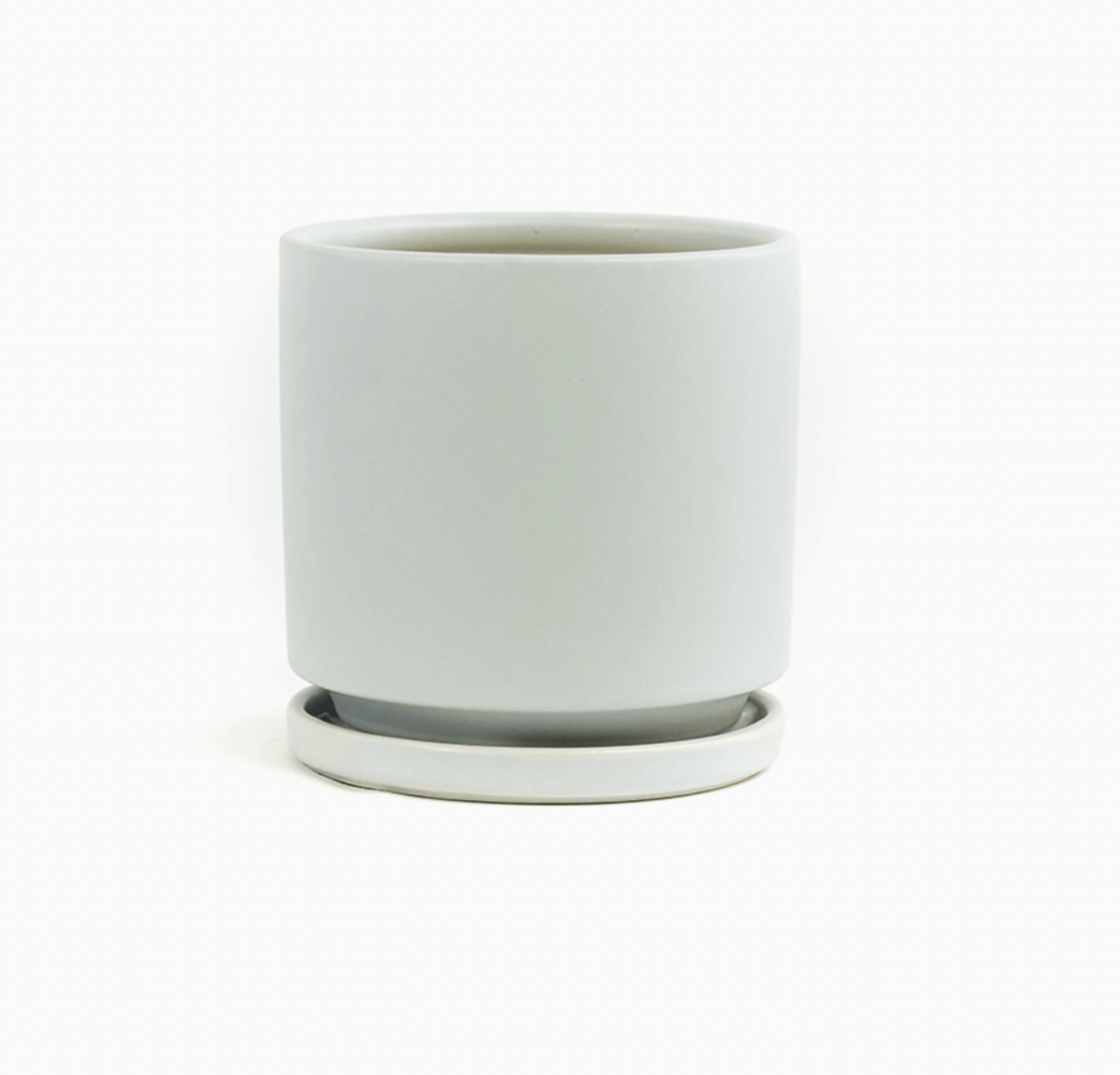 Momma Pots - 6.5" - The Plant Lady SF