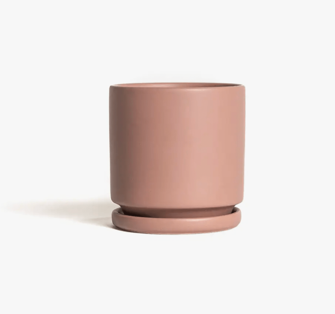 Momma Pots - 6.5" - The Plant Lady SF