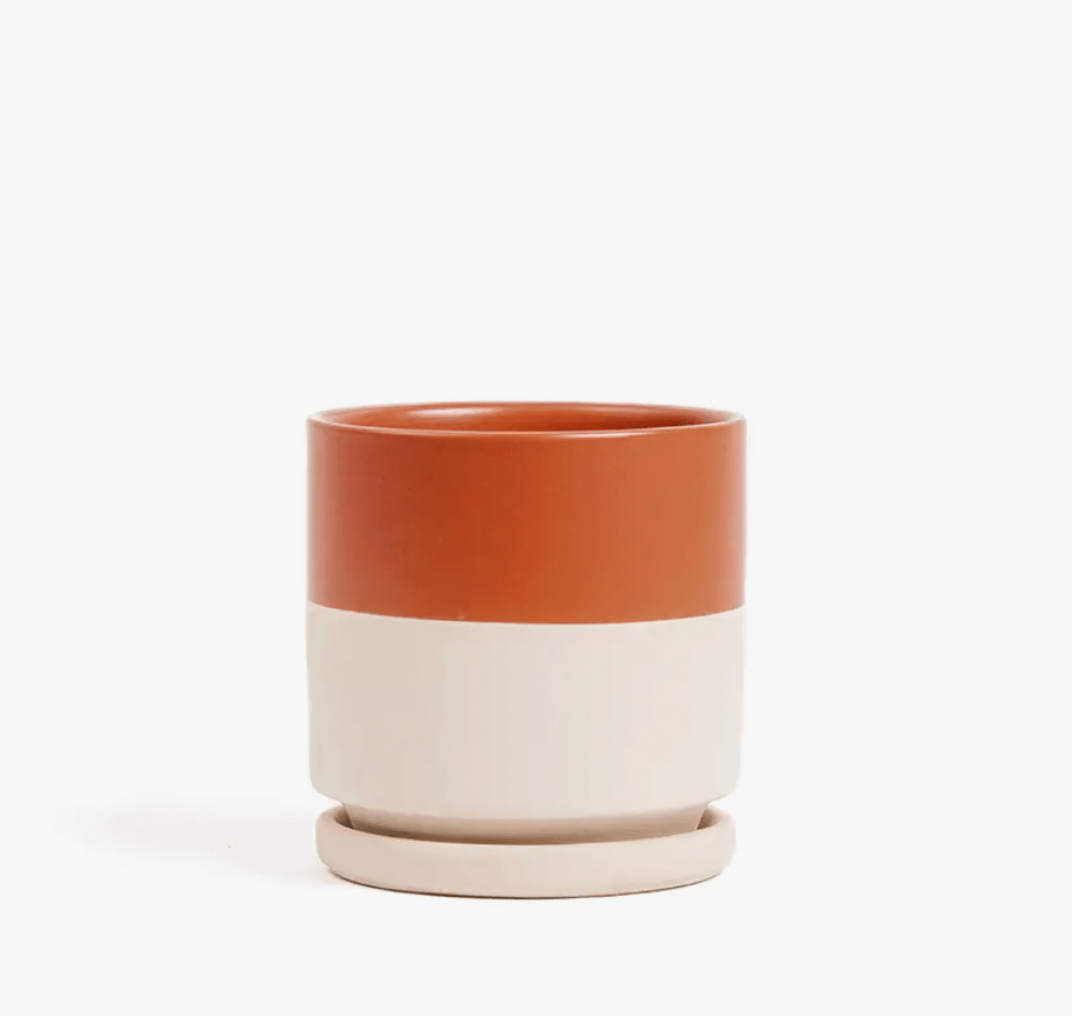 Momma Pots - 6.5" - The Plant Lady SF