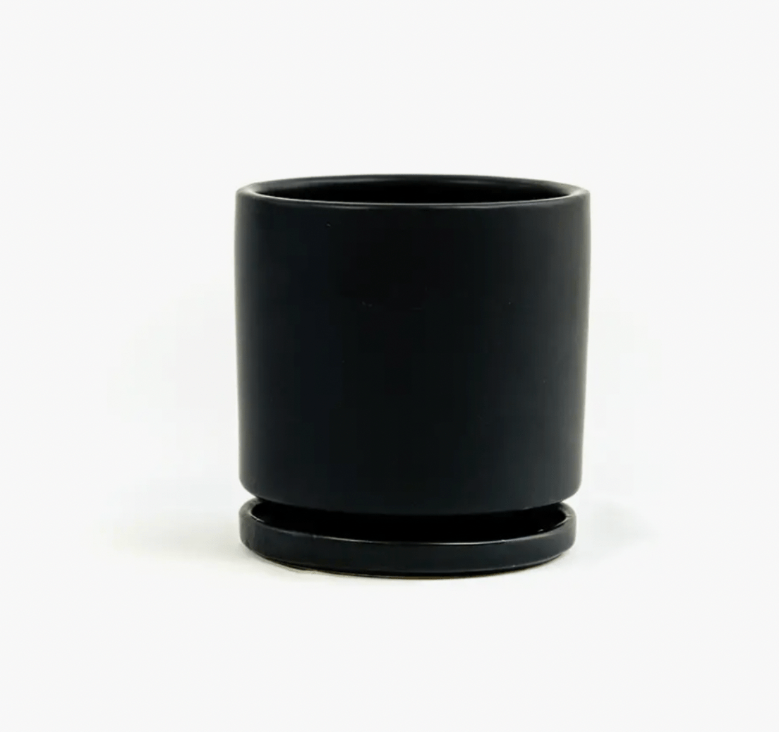 Momma Pots - 6.5" - The Plant Lady SF