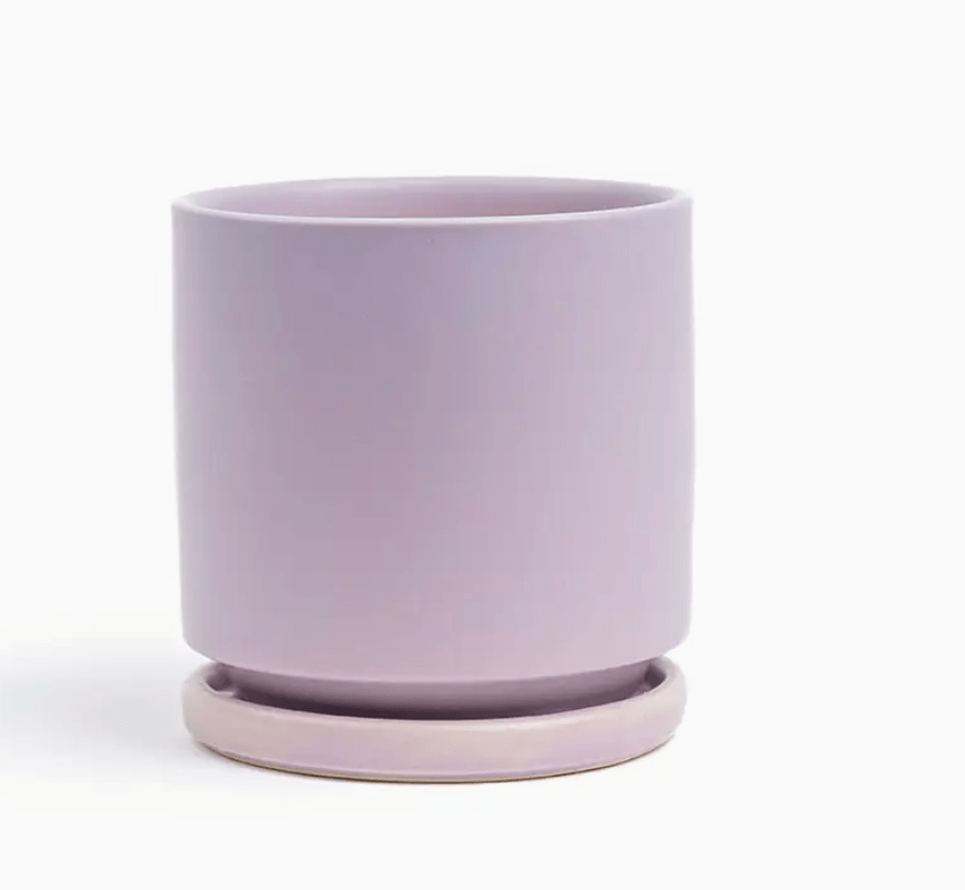 Momma Pots - 6.5" - The Plant Lady SF