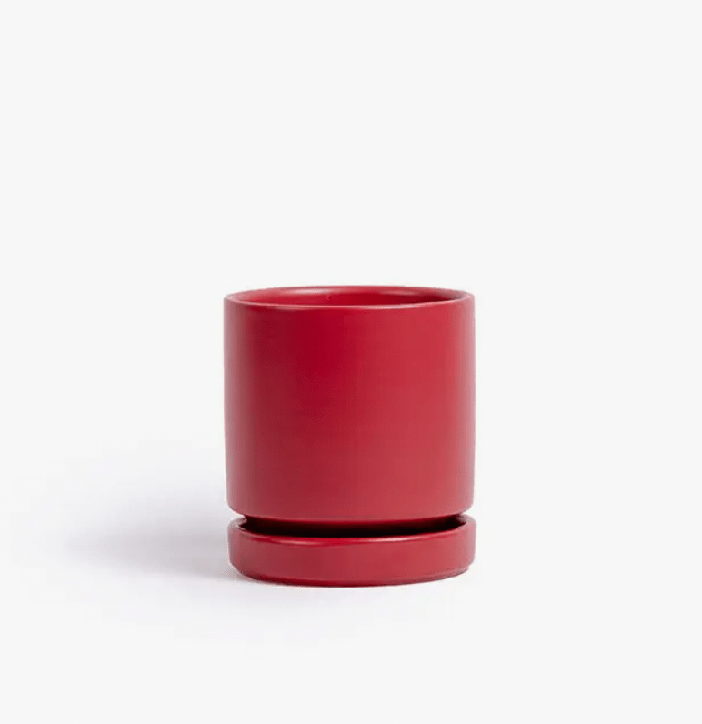 Momma Pots - 6.5" - The Plant Lady SF