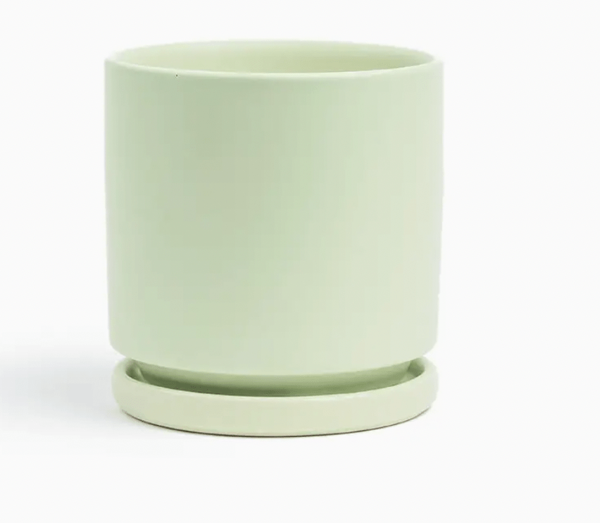 Momma Pots - 6.5" - The Plant Lady SF