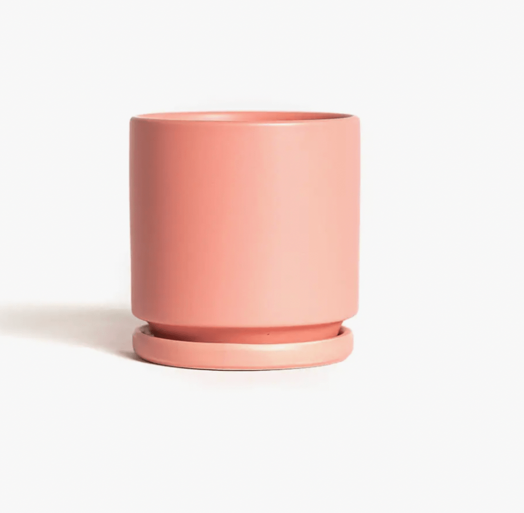 Momma Pots - 6.5" - The Plant Lady SF