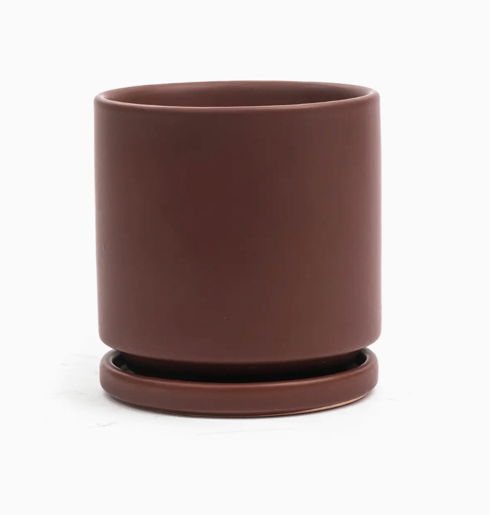 Momma Pots - 6.5" - The Plant Lady SF