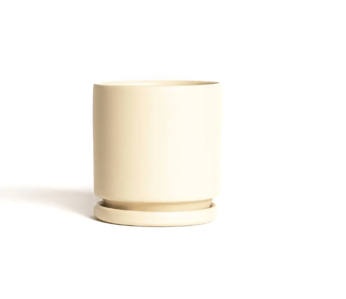 Momma Pots - 6.5" - The Plant Lady SF