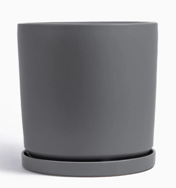 Momma Pots - 8.25" - The Plant Lady SF