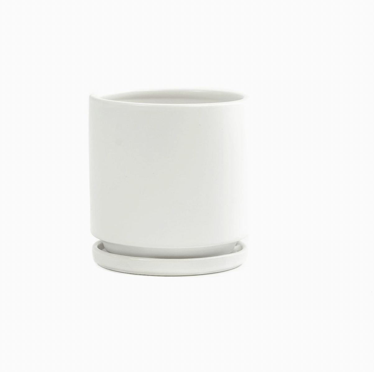 Momma Pots - 8.25" - The Plant Lady SF