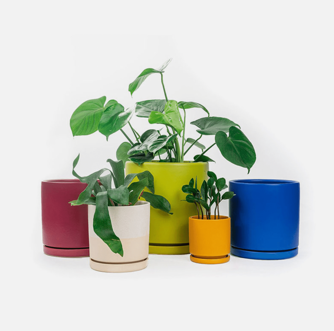 Momma Pots - 8.25" - The Plant Lady SF