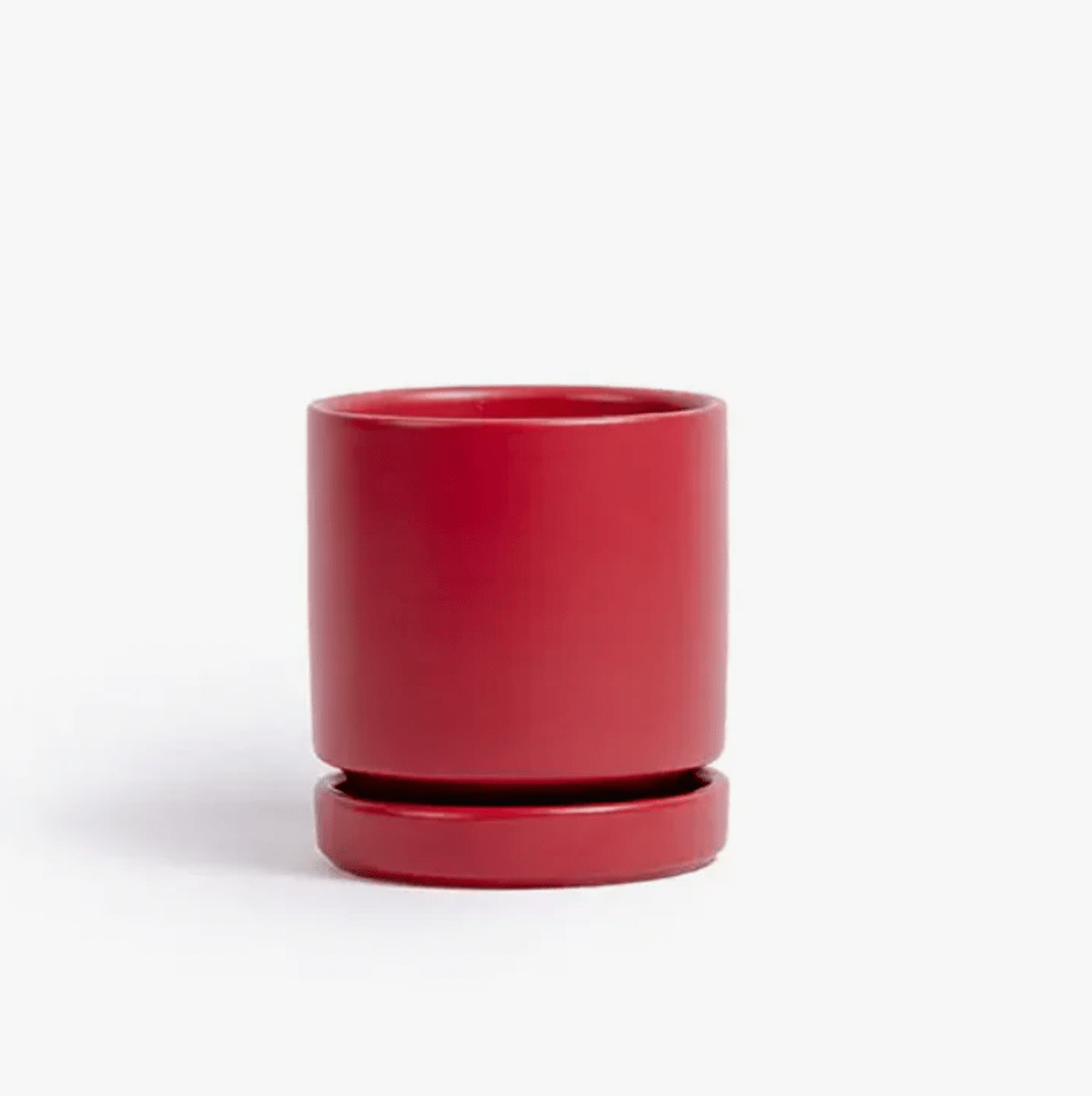 Momma Pots - 8.25" - The Plant Lady SF