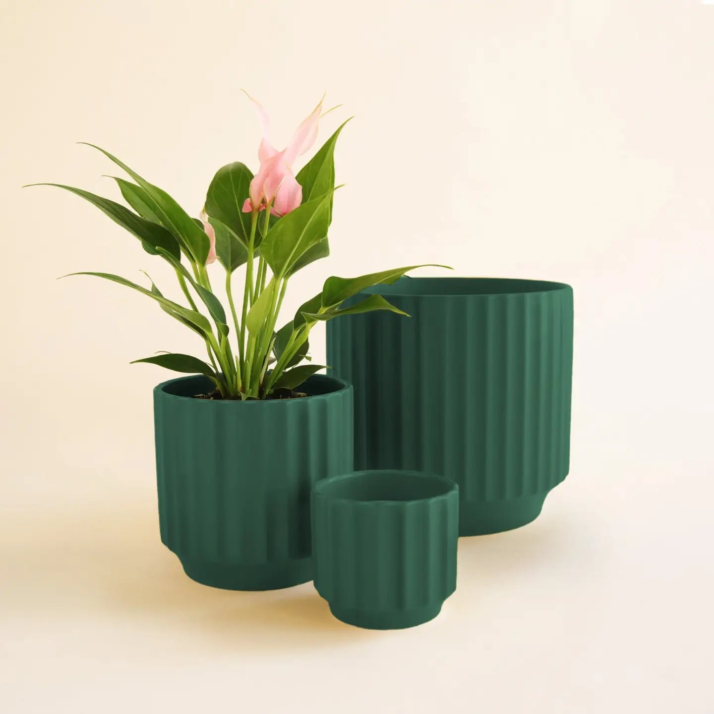 Monroe Planter | Rainforest Green 3” - The Plant Lady SF