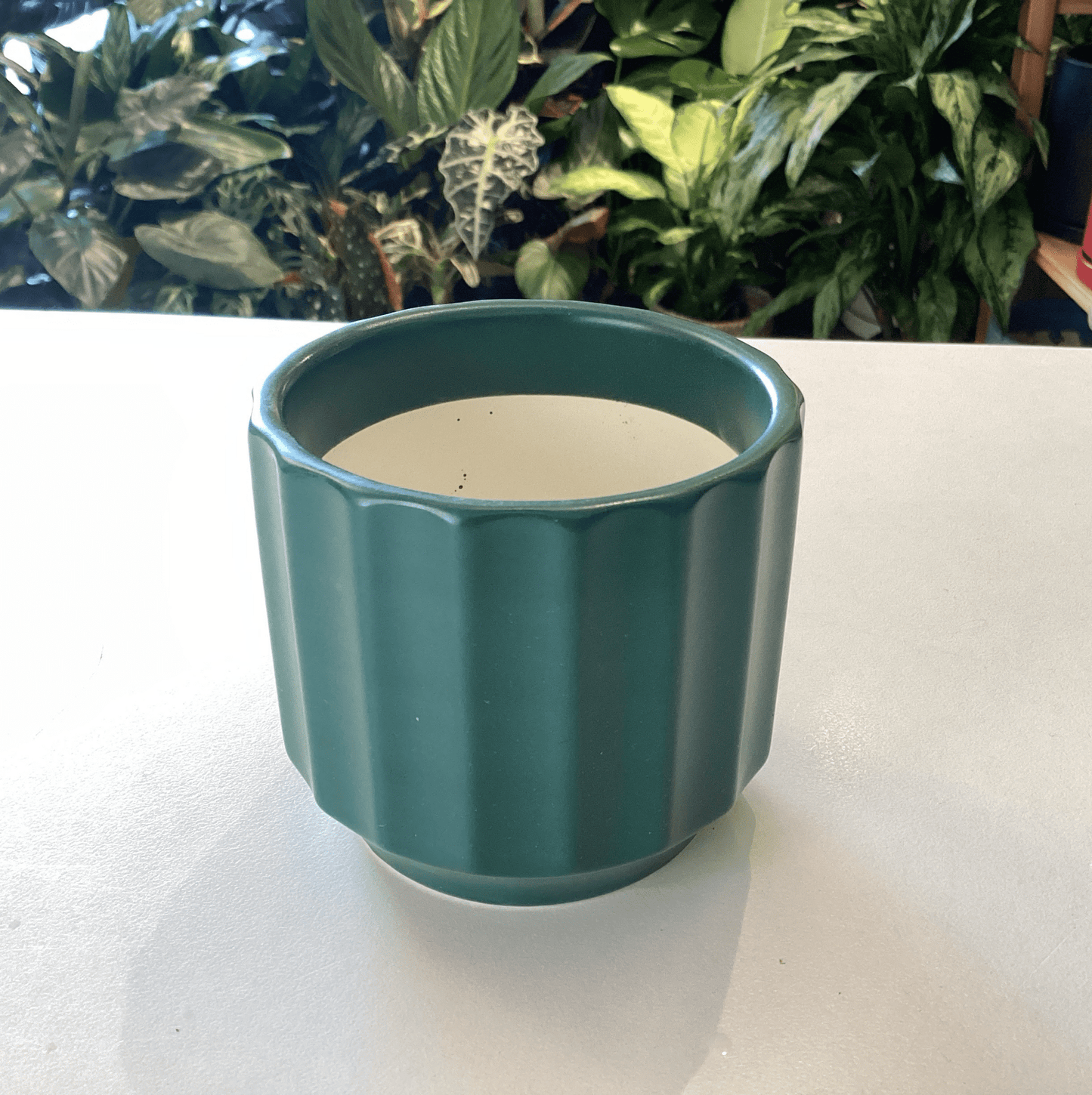Monroe Planter | Rainforest Green 3” - The Plant Lady SF