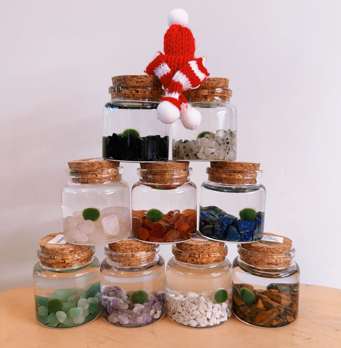 Moss Ball Aquatic Terrarium - The Plant Lady SF