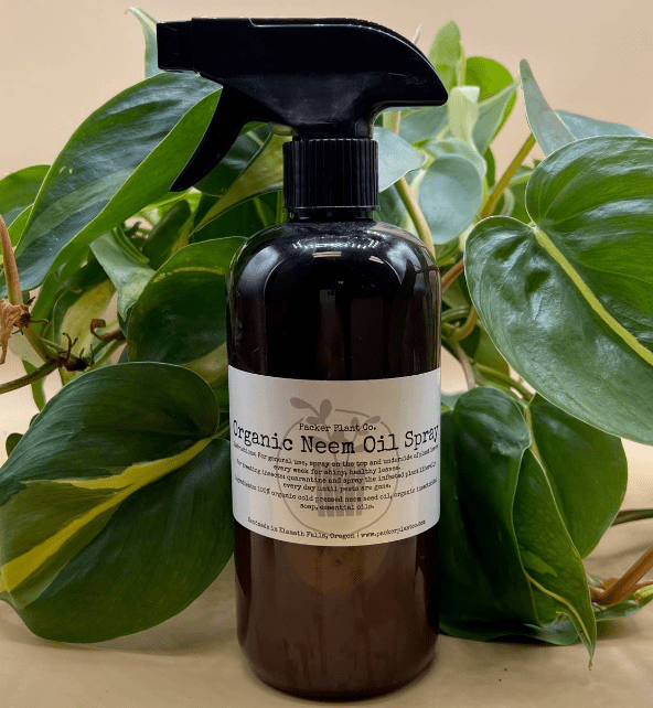 Neem & Gleam - The Plant Lady SF