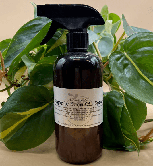 Neem & Gleam - The Plant Lady SF