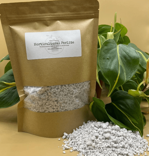 Perlite | Soil Amendment - The Plant Lady SF