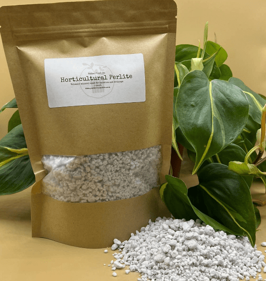 Perlite | Soil Amendment - The Plant Lady SF