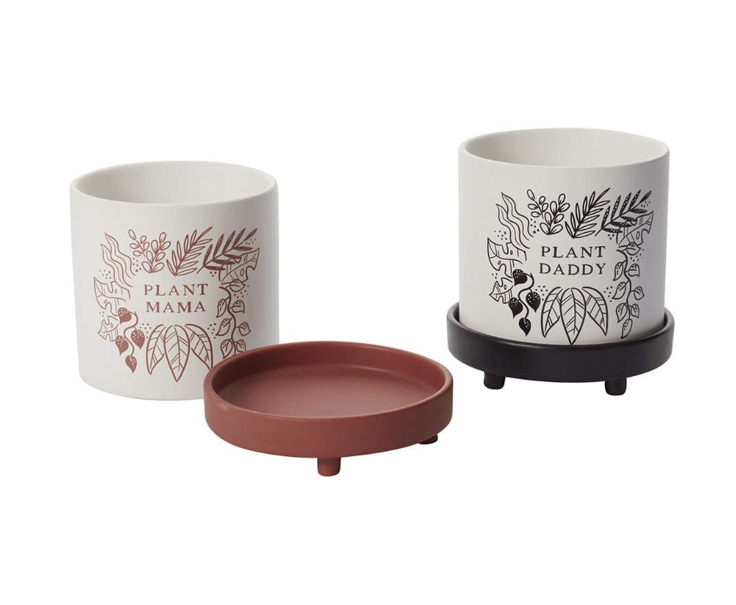 Plant Mama / Daddy Pot with Saucer - The Plant Lady SF