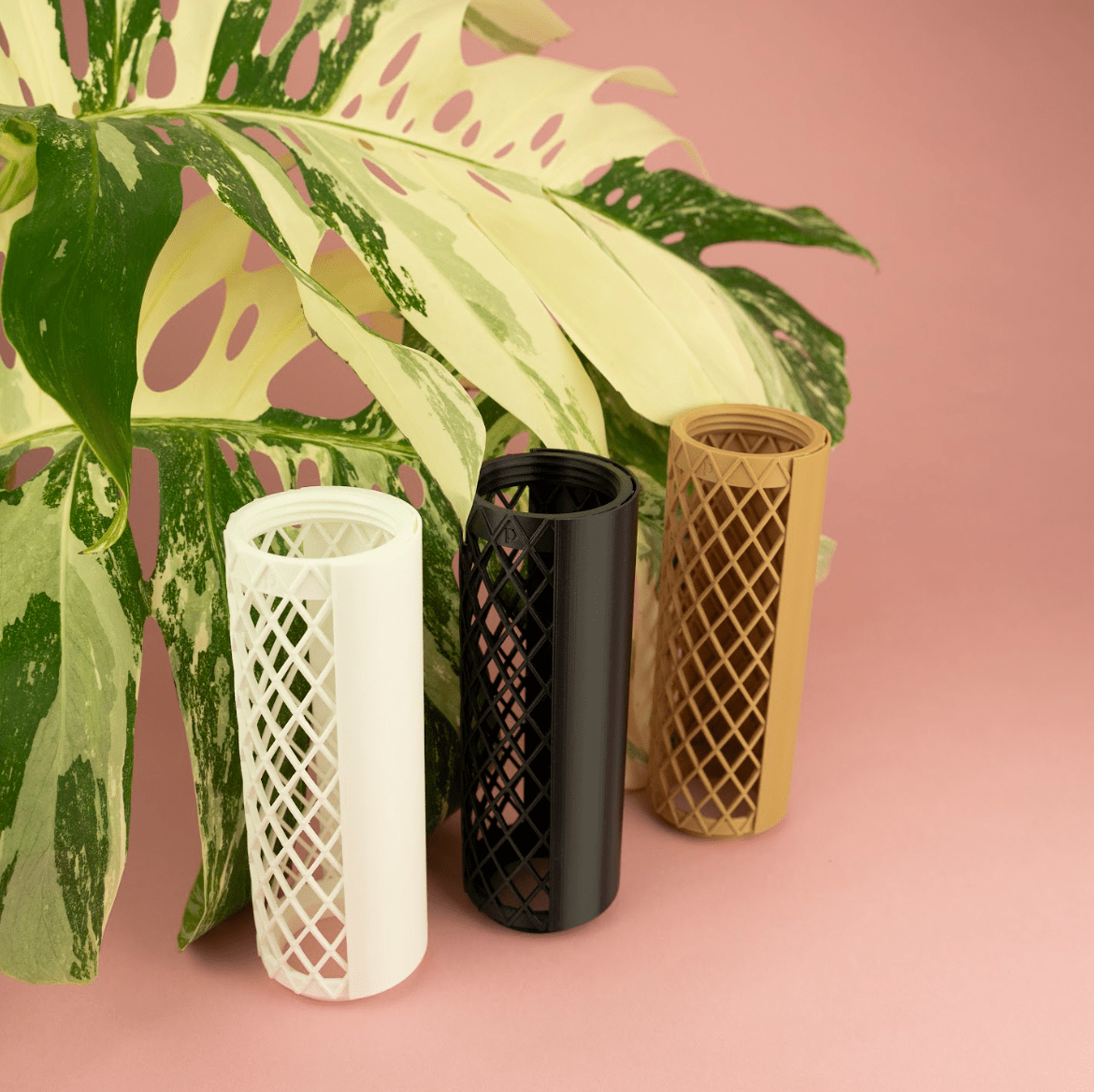 Plvntly Moisture Guard - The Plant Lady SF