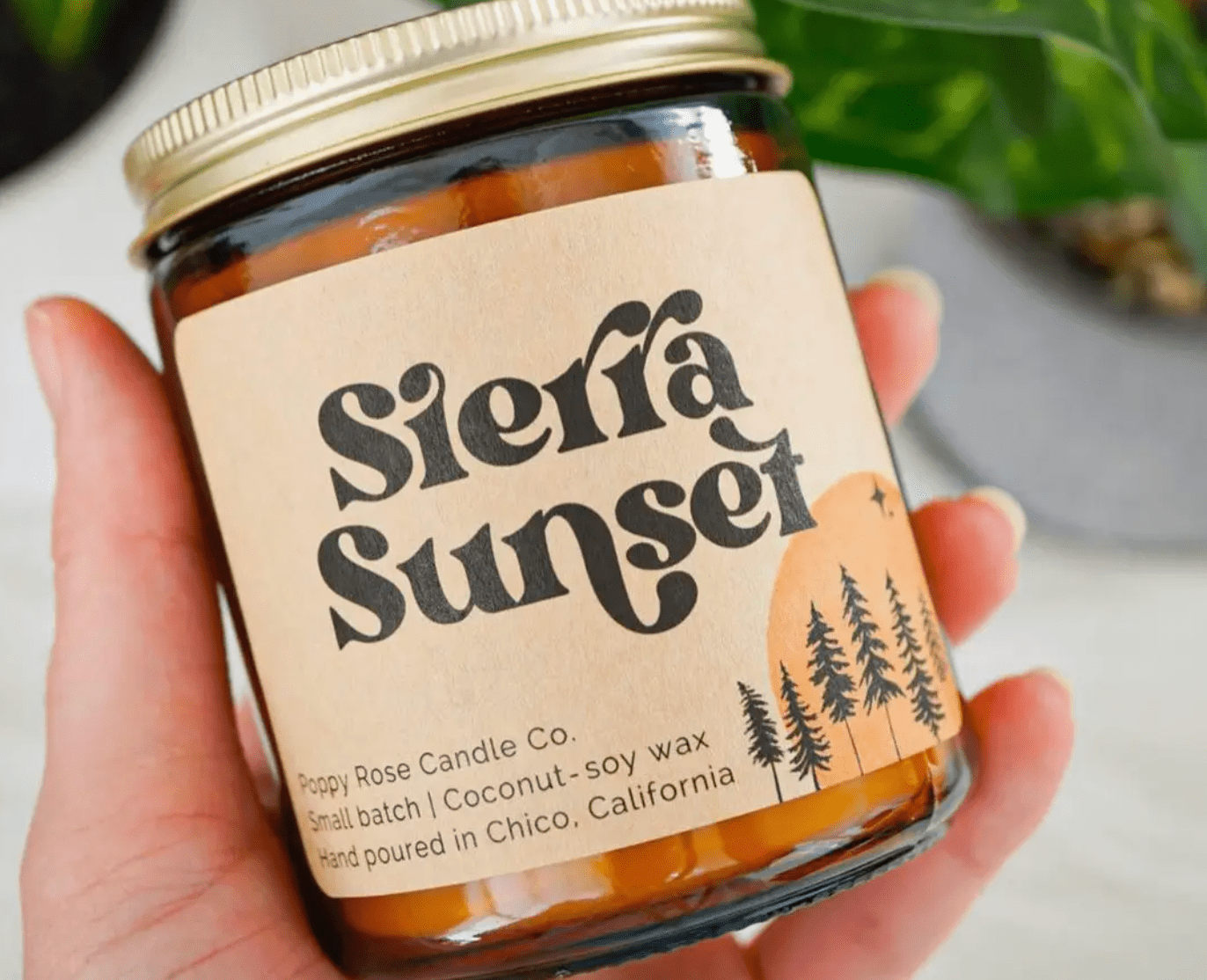 Poppy Rose Candles - The Plant Lady SF