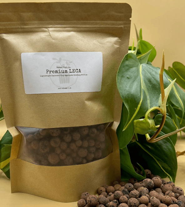 Premium LECA Potting Medium - The Plant Lady SF