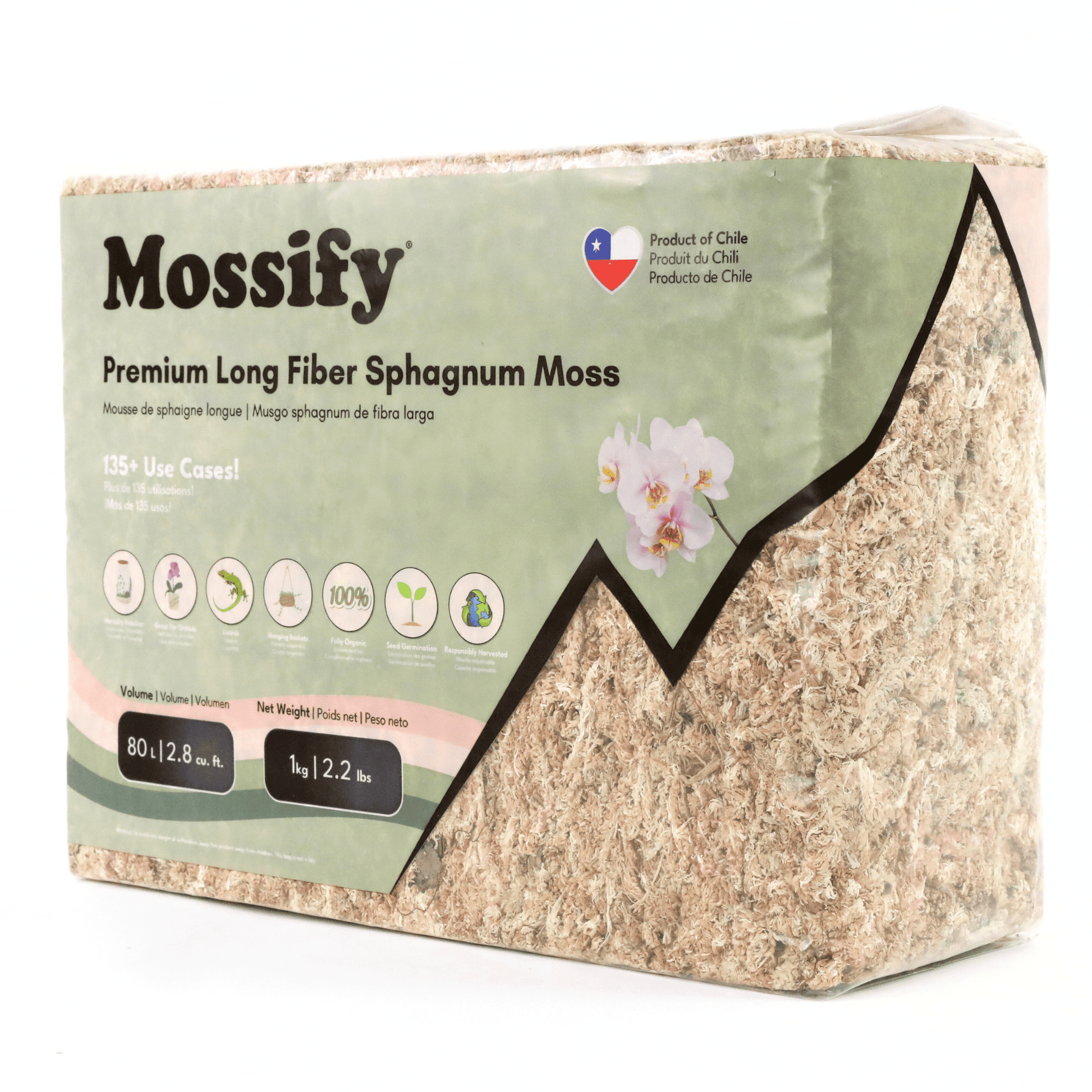 Premium Long Fiber Sphagnum Moss: 1kg - The Plant Lady SF