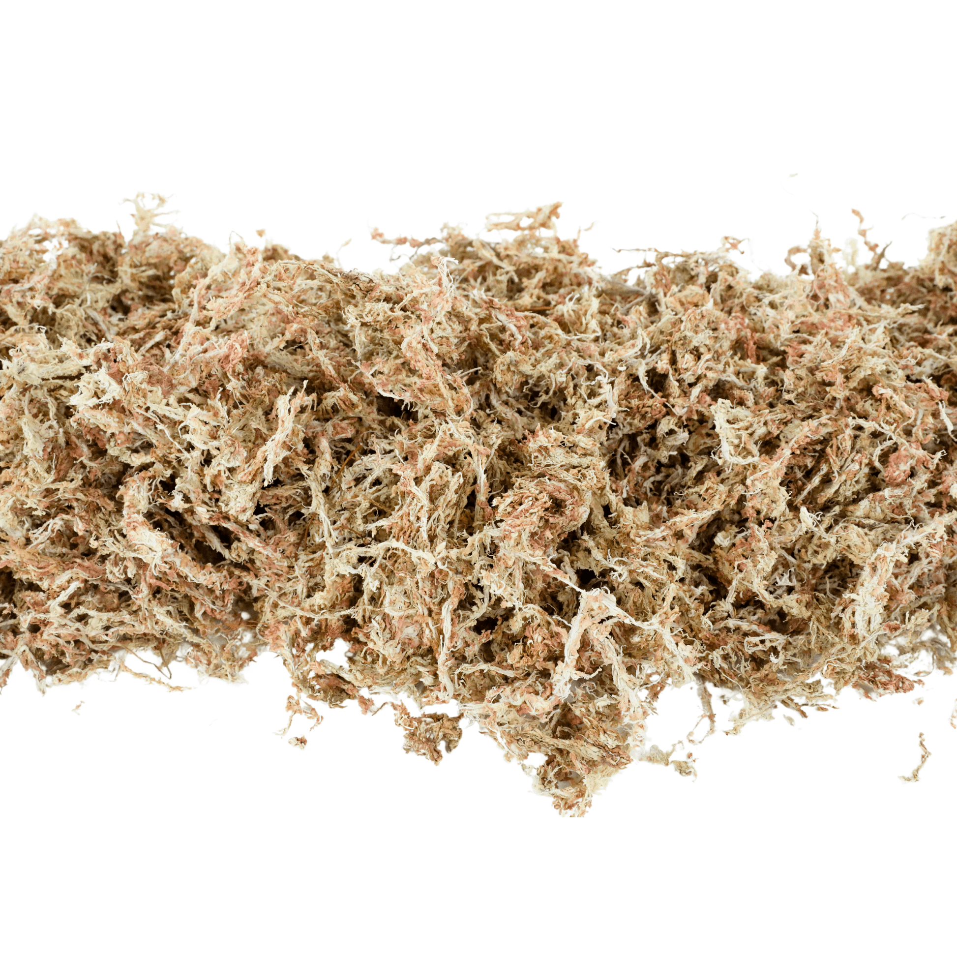 Premium Long Fiber Sphagnum Moss: 1kg - The Plant Lady SF
