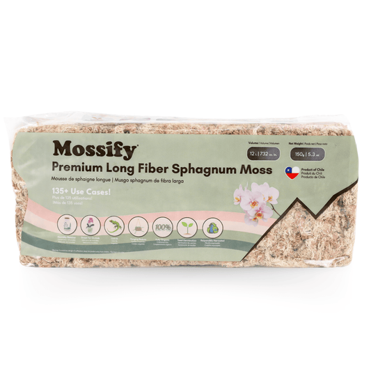 Premium Long Fiber Sphagnum Moss: 1kg - The Plant Lady SF