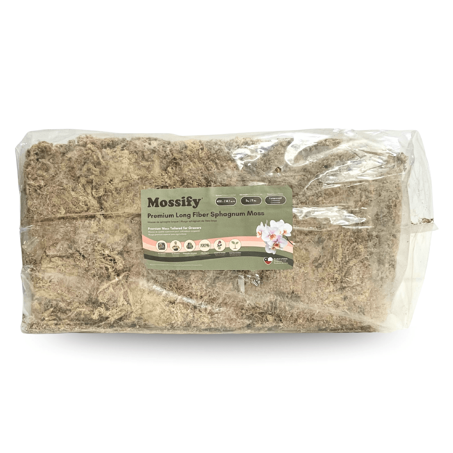Premium Long Fiber Sphagnum Moss from Mossify - 150g - The Plant Lady SF