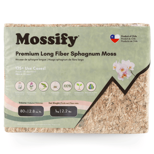 Premium Long Fiber Sphagnum Moss from Mossify - 150g - The Plant Lady SF