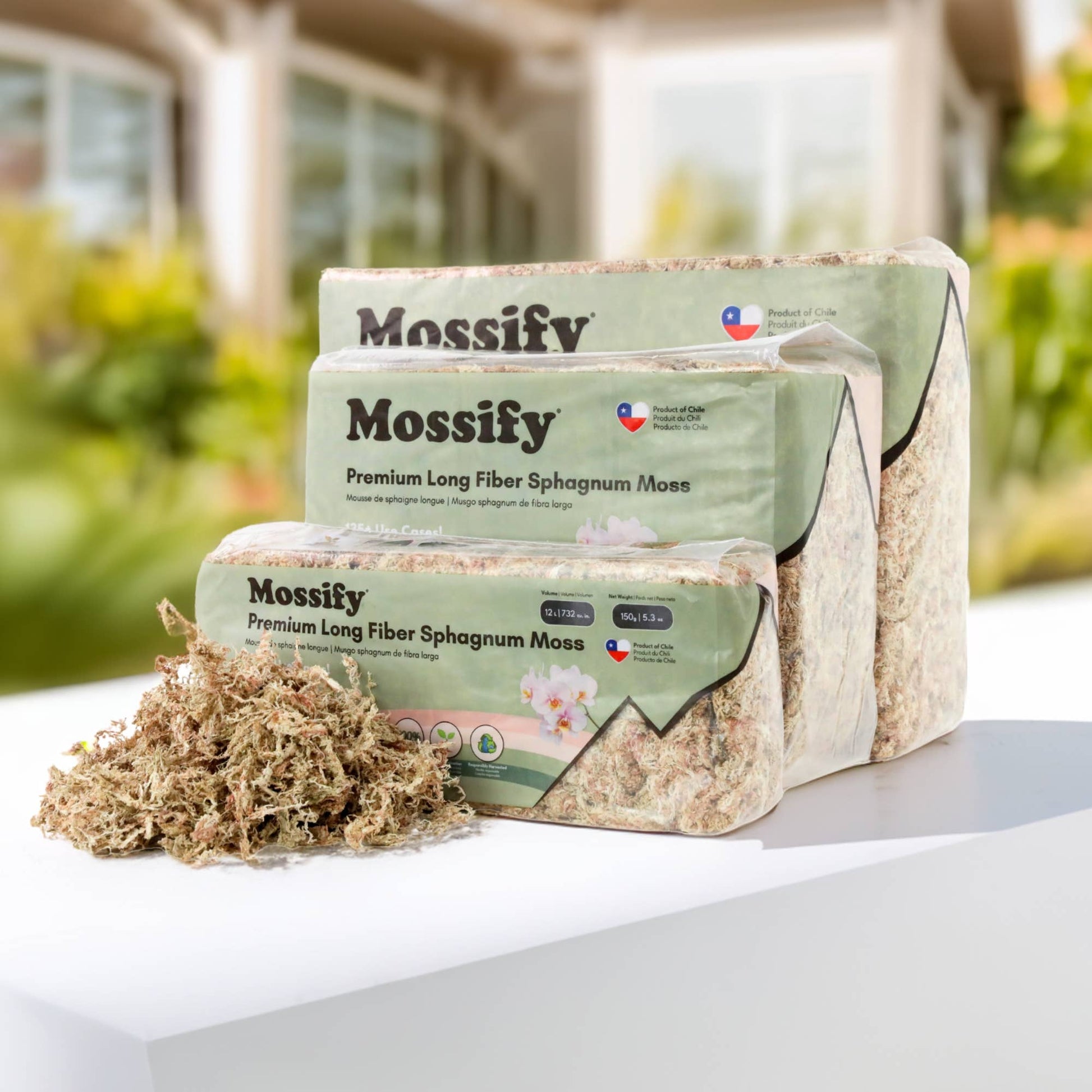 Premium Long Fiber Sphagnum Moss from Mossify - 150g - The Plant Lady SF
