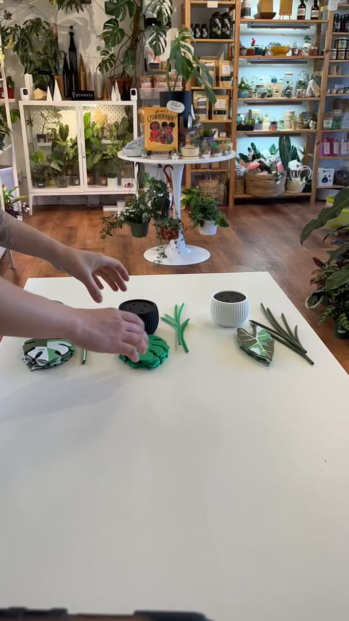 3D Printed Plant Coasters