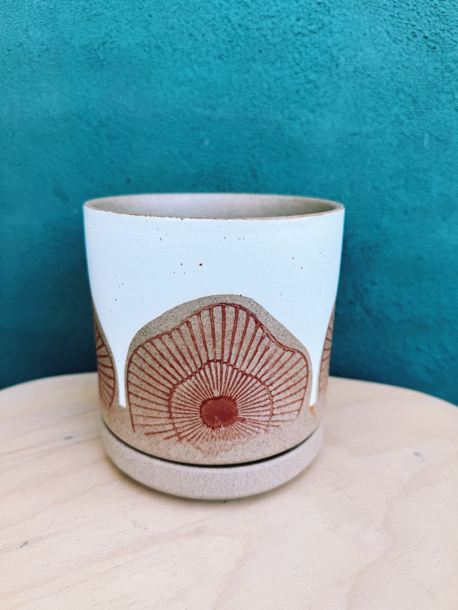 Protea Pot - The Plant Lady SF