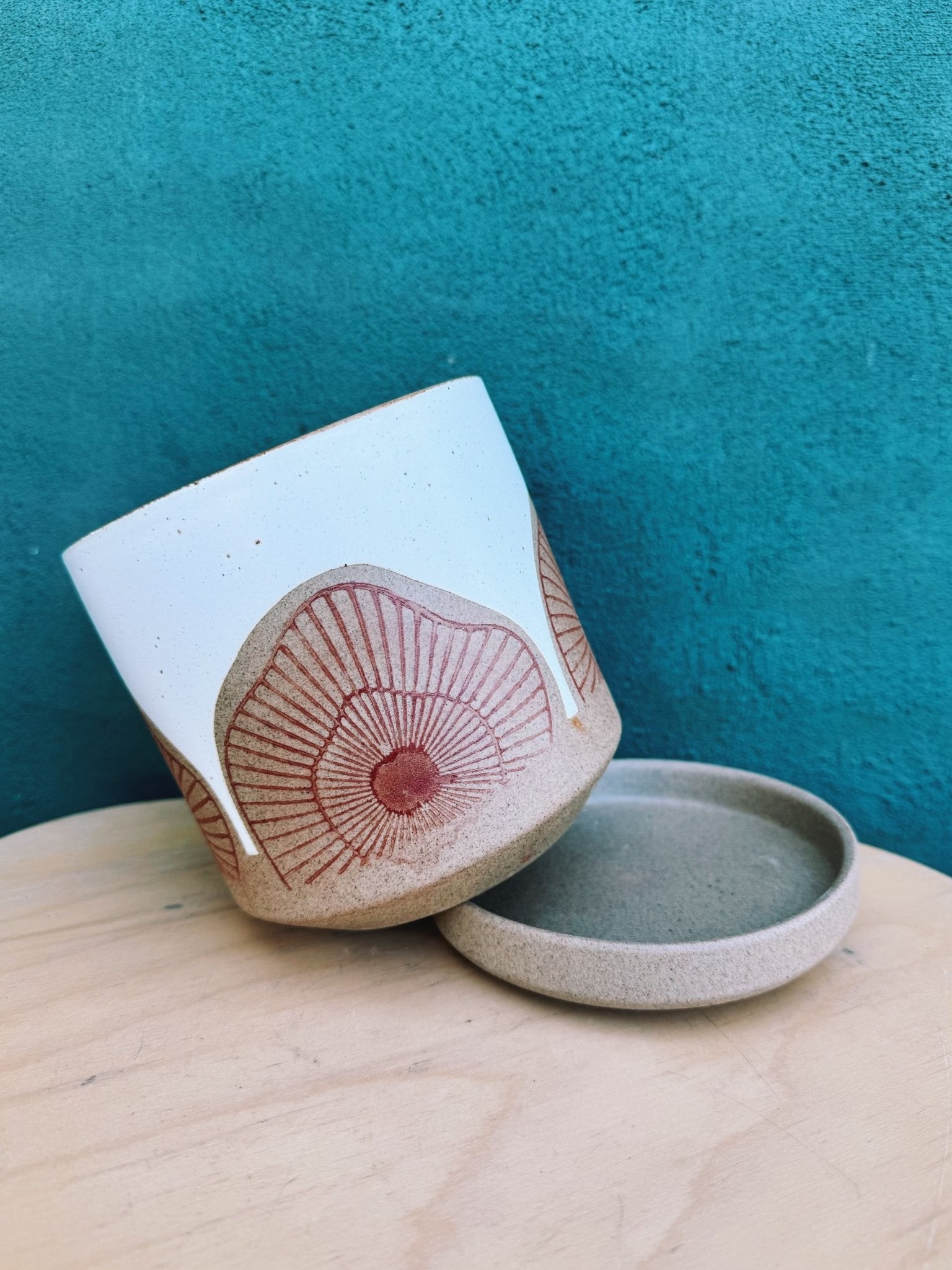 Protea Pot - The Plant Lady SF