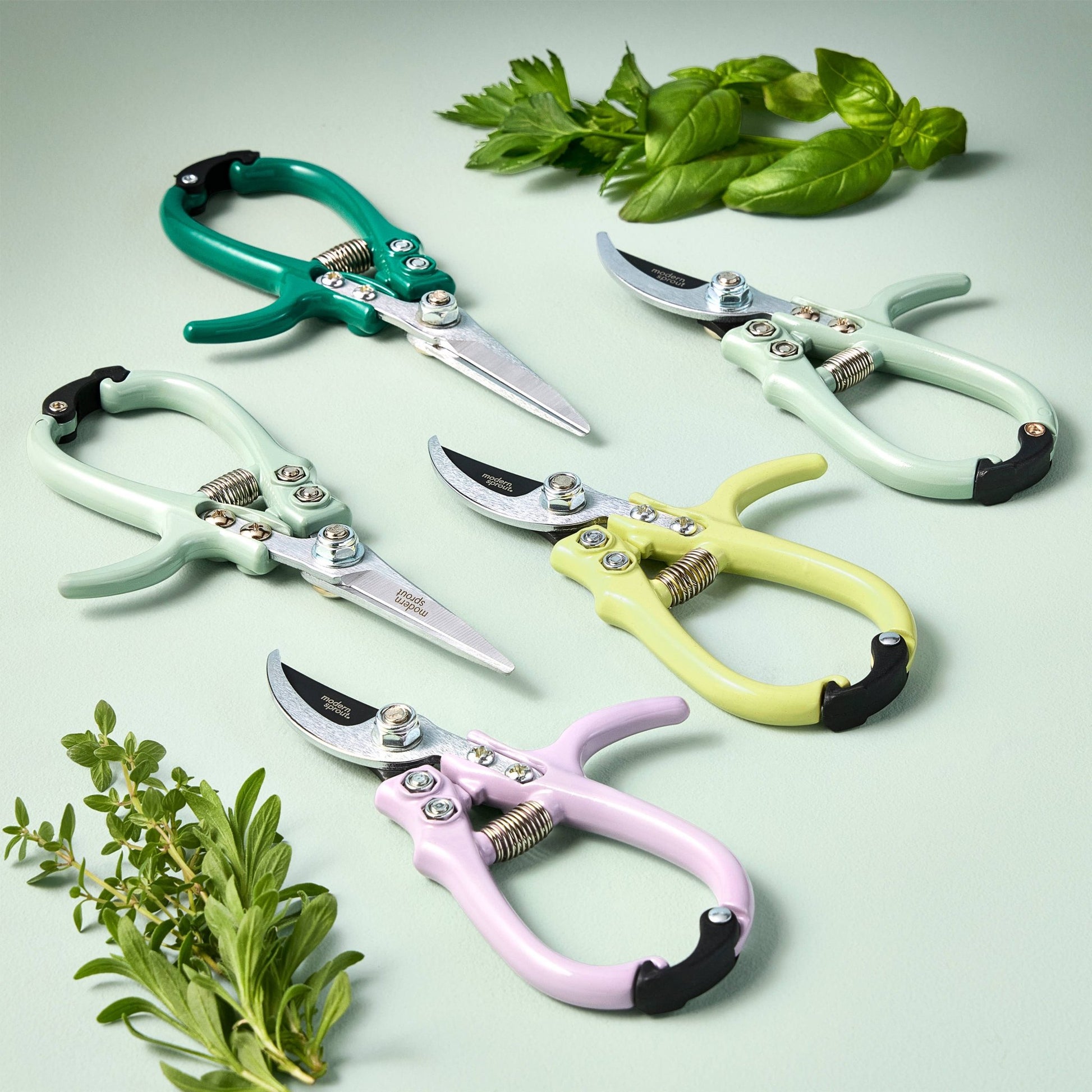 Pruning Shears - The Plant Lady SF