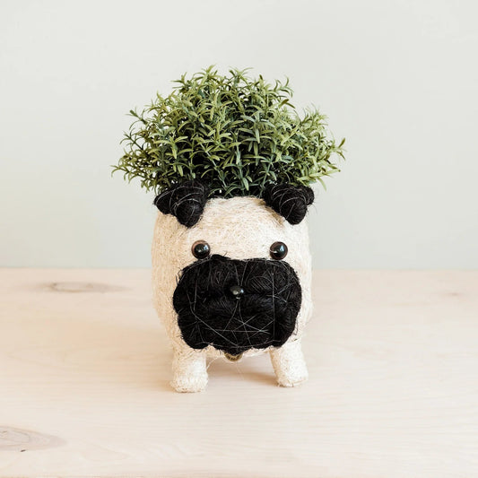 Puppy Pot - Handmade - The Plant Lady SF