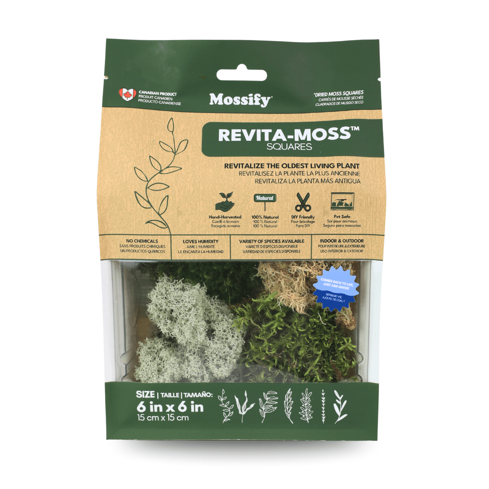 The Plant Lady SF Revita-Moss - Thumbnail 2