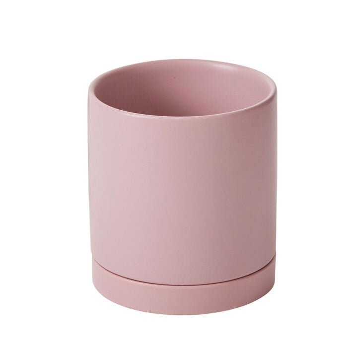 Romey Pot - The Plant Lady SF