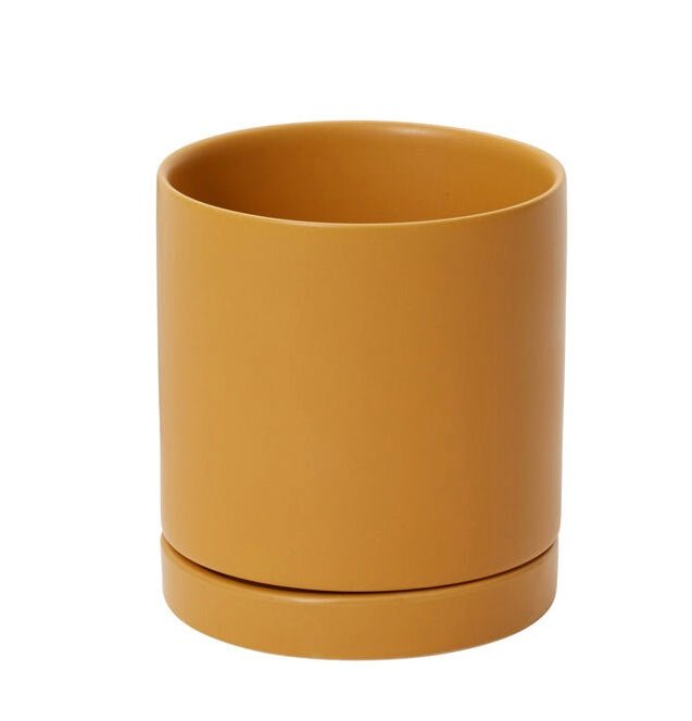 Romey Pot - The Plant Lady SF